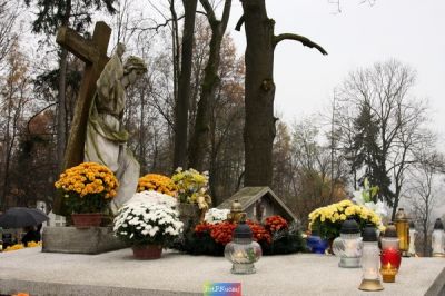 Kliknij aby obejrzeć w pełnym rozmiarze