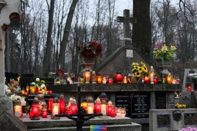 Kliknij aby obejrzeć w pełnym rozmiarze