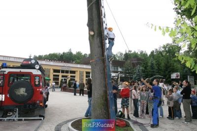 Kliknij aby obejrzeć w pełnym rozmiarze