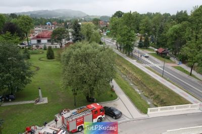 Kliknij aby obejrzeć w pełnym rozmiarze