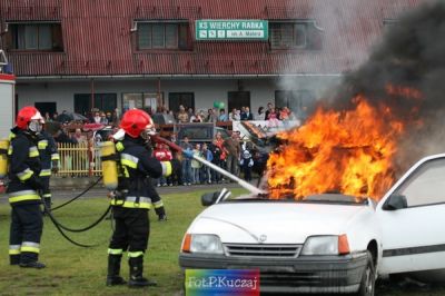 Kliknij aby obejrzeć w pełnym rozmiarze