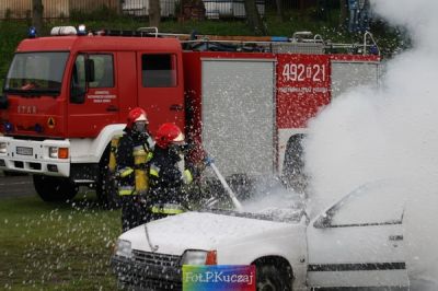 Kliknij aby obejrzeć w pełnym rozmiarze