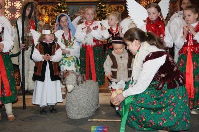 Kliknij aby obejrzeć w pełnym rozmiarze