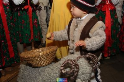 Kliknij aby obejrzeć w pełnym rozmiarze