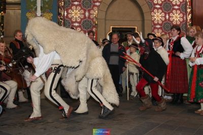 Kliknij aby obejrzeć w pełnym rozmiarze