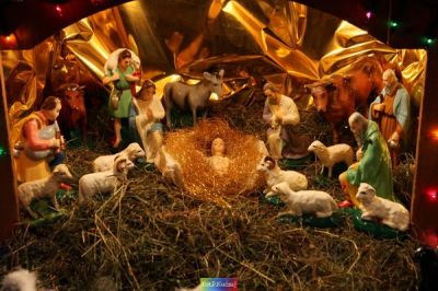 Kliknij aby obejrzeć w pełnym rozmiarze