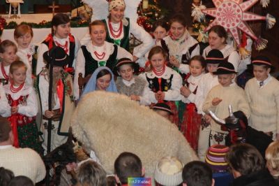 Kliknij aby obejrzeć w pełnym rozmiarze