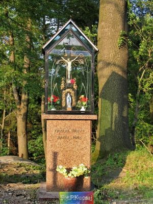 Kliknij aby obejrzeć w pełnym rozmiarze