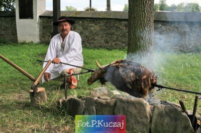 Kliknij aby obejrzeć w pełnym rozmiarze