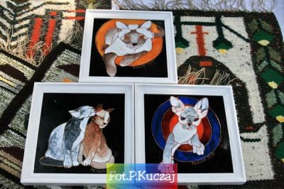 Kliknij aby obejrzeć w pełnym rozmiarze