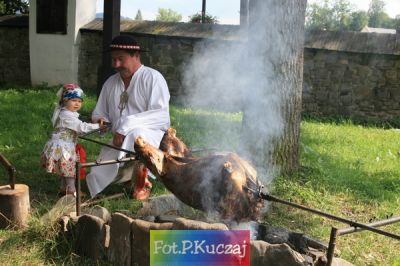 Kliknij aby obejrzeć w pełnym rozmiarze