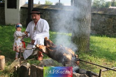 Kliknij aby obejrzeć w pełnym rozmiarze