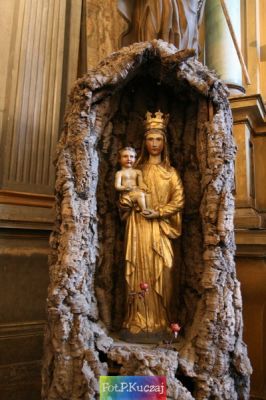 Kliknij aby obejrzeć w pełnym rozmiarze