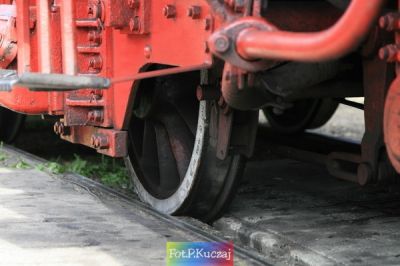 Kliknij aby obejrzeć w pełnym rozmiarze