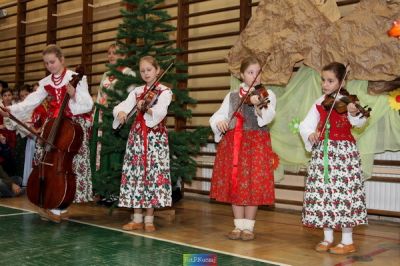 Kliknij aby obejrzeć w pełnym rozmiarze