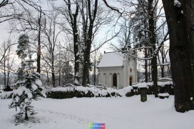 Kliknij aby obejrzeć w pełnym rozmiarze