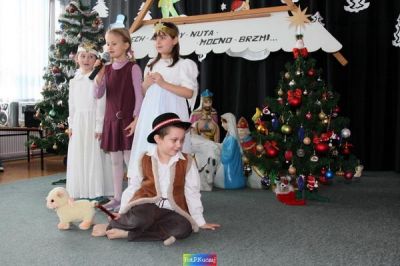 Kliknij aby obejrzeć w pełnym rozmiarze