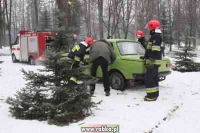 Kliknij aby obejrzeć w pełnym rozmiarze