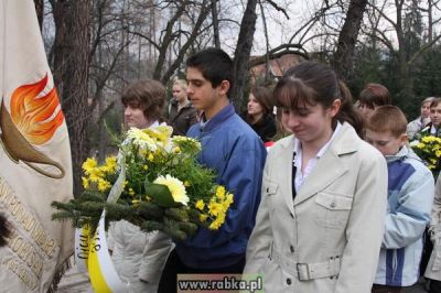 Kliknij aby obejrzeć w pełnym rozmiarze