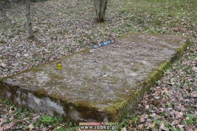 Kliknij aby obejrzeć w pełnym rozmiarze