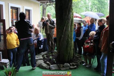 Kliknij aby obejrzeć w pełnym rozmiarze