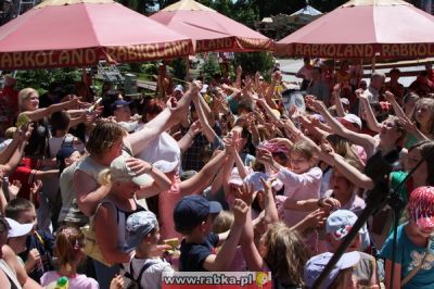 Kliknij aby obejrzeć w pełnym rozmiarze