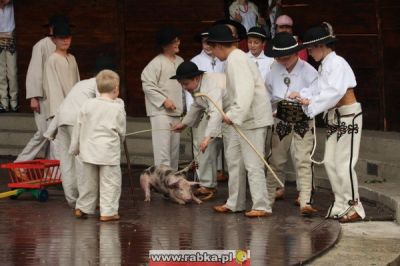 Kliknij aby obejrzeć w pełnym rozmiarze