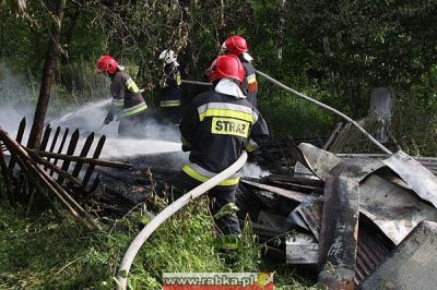 Kliknij aby obejrzeć w pełnym rozmiarze