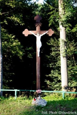 Kliknij aby obejrzeć w pełnym rozmiarze