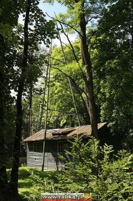 Kliknij aby obejrzeć w pełnym rozmiarze