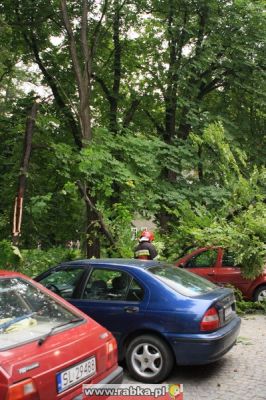 Kliknij aby obejrzeć w pełnym rozmiarze