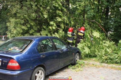 Kliknij aby obejrzeć w pełnym rozmiarze