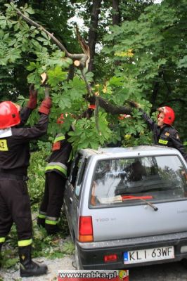 Kliknij aby obejrzeć w pełnym rozmiarze