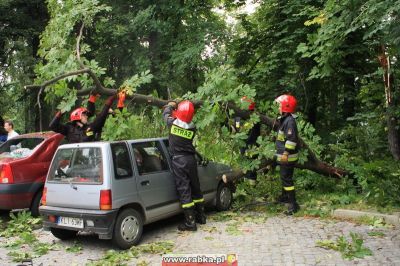 Kliknij aby obejrzeć w pełnym rozmiarze