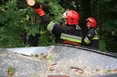 Kliknij aby obejrzeć w pełnym rozmiarze