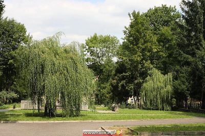 Kliknij aby obejrzeć w pełnym rozmiarze