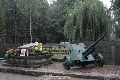 Kliknij aby obejrzeć w pełnym rozmiarze