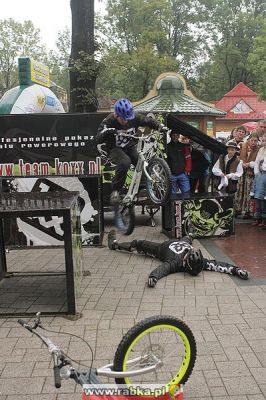 Kliknij aby obejrzeć w pełnym rozmiarze