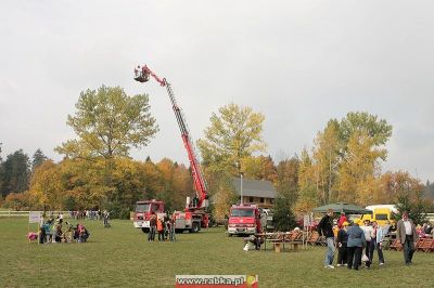 Kliknij aby obejrzeć w pełnym rozmiarze
