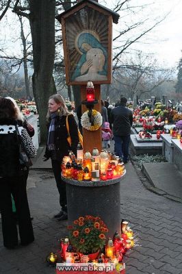 Kliknij aby obejrzeć w pełnym rozmiarze