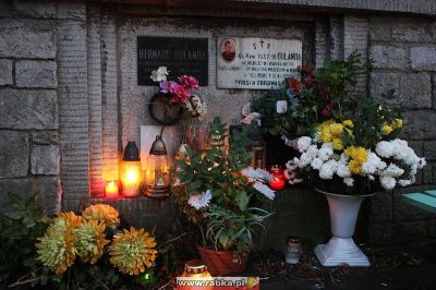 Kliknij aby obejrzeć w pełnym rozmiarze