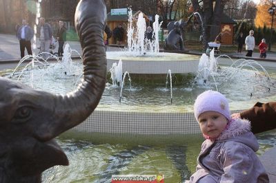 Kliknij aby obejrzeć w pełnym rozmiarze