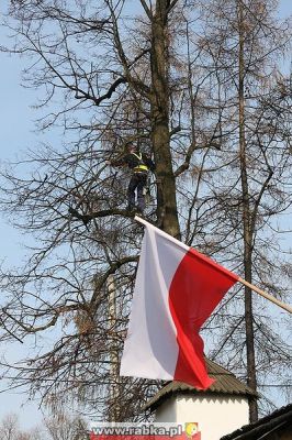 Kliknij aby obejrzeć w pełnym rozmiarze