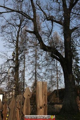 Kliknij aby obejrzeć w pełnym rozmiarze