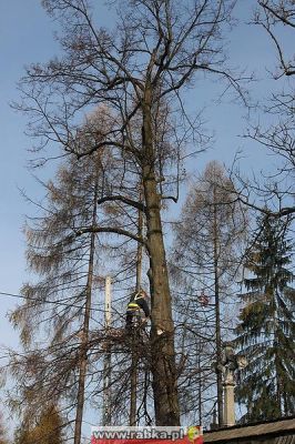 Kliknij aby obejrzeć w pełnym rozmiarze