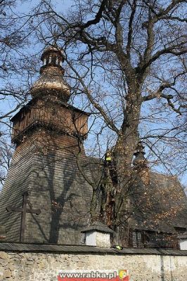 Kliknij aby obejrzeć w pełnym rozmiarze