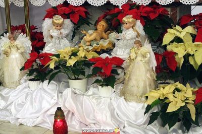 Kliknij aby obejrzeć w pełnym rozmiarze