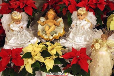 Kliknij aby obejrzeć w pełnym rozmiarze