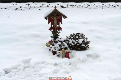 Kliknij aby obejrzeć w pełnym rozmiarze