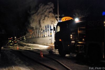 Kliknij aby obejrzeć w pełnym rozmiarze